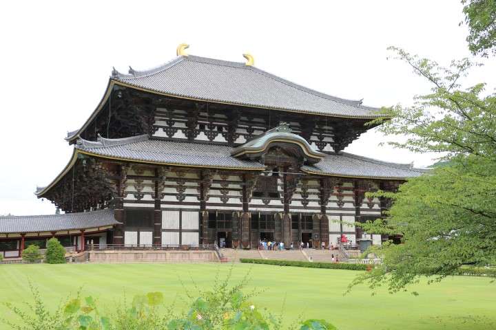 12. Nara, Fushimi Inari y Osaka - Konichiwa! 20 días en Japón 2015. (6)