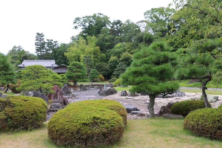 7. Kioto: Castillo Nijo, Kinkaku-ji, Ryoan-ji. Osaka - Konichiwa! 20 días en Japón 2015. (5)