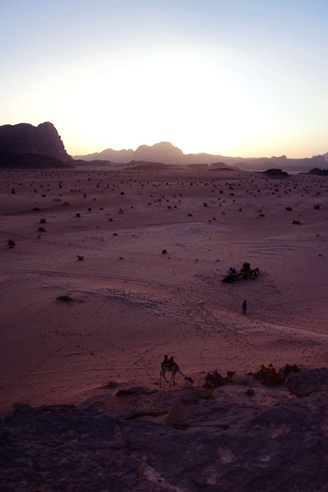 Views of Jordan, Wadi Rum, deser sunset, jordan camel ride - justlikesushi.com 