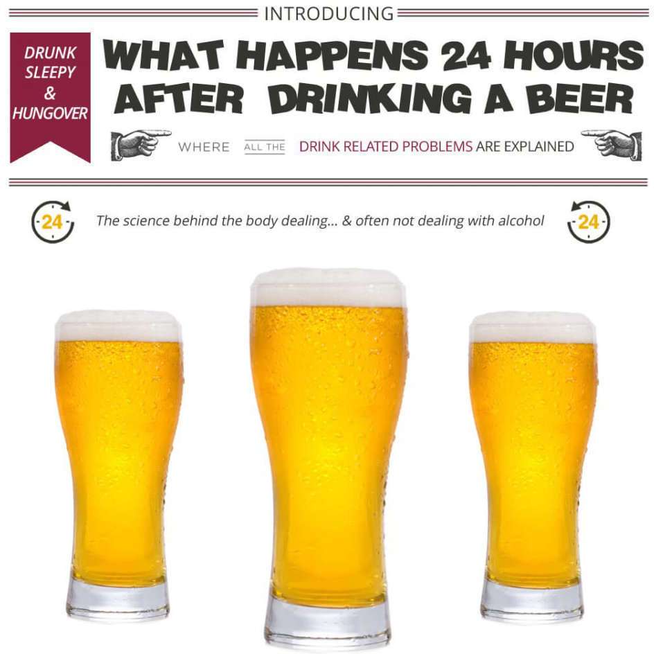 WHAT HAPPENS 24 HOURS AFTER DRINKING A BEER