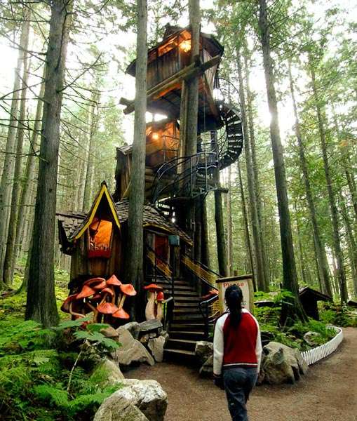 The Enchanted Forest (Revelstoke/ Canada)