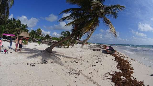 SABADO 21: Tulum, Playa Paraíso, Coba, Cenote Sac Actun y Akumal - 7 días en Riviera Maya (2)