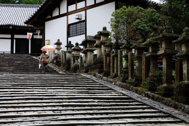 12. Nara, Fushimi Inari y Osaka - Konichiwa! 20 días en Japón 2015. (8)