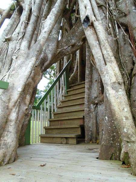 Lupe Sina Treesort (Tiavi/ Samoa)