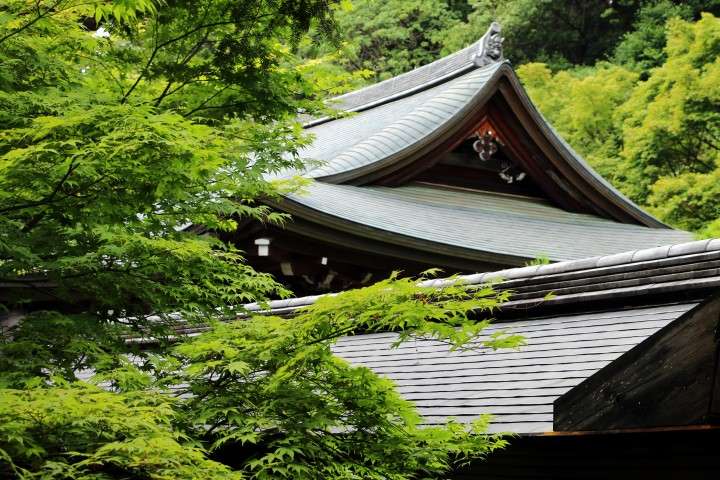 7. Kioto: Castillo Nijo, Kinkaku-ji, Ryoan-ji. Osaka - Konichiwa! 20 días en Japón 2015. (10)