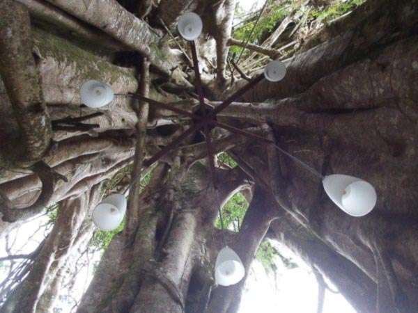 Lupe Sina Treesort (Tiavi/ Samoa)