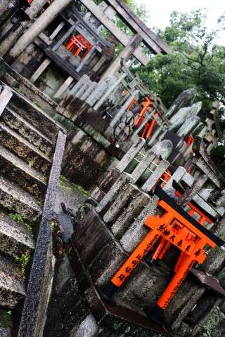 12. Nara, Fushimi Inari y Osaka - Konichiwa! 20 días en Japón 2015. (14)