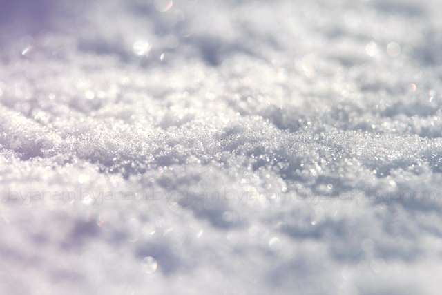 Schnee - Naturfotografie