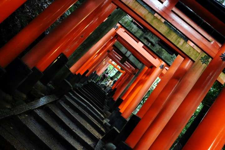 12. Nara, Fushimi Inari y Osaka - Konichiwa! 20 días en Japón 2015. (13)
