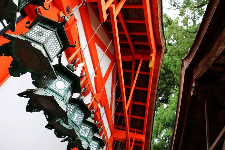 12. Nara, Fushimi Inari y Osaka - Konichiwa! 20 días en Japón 2015. (12)