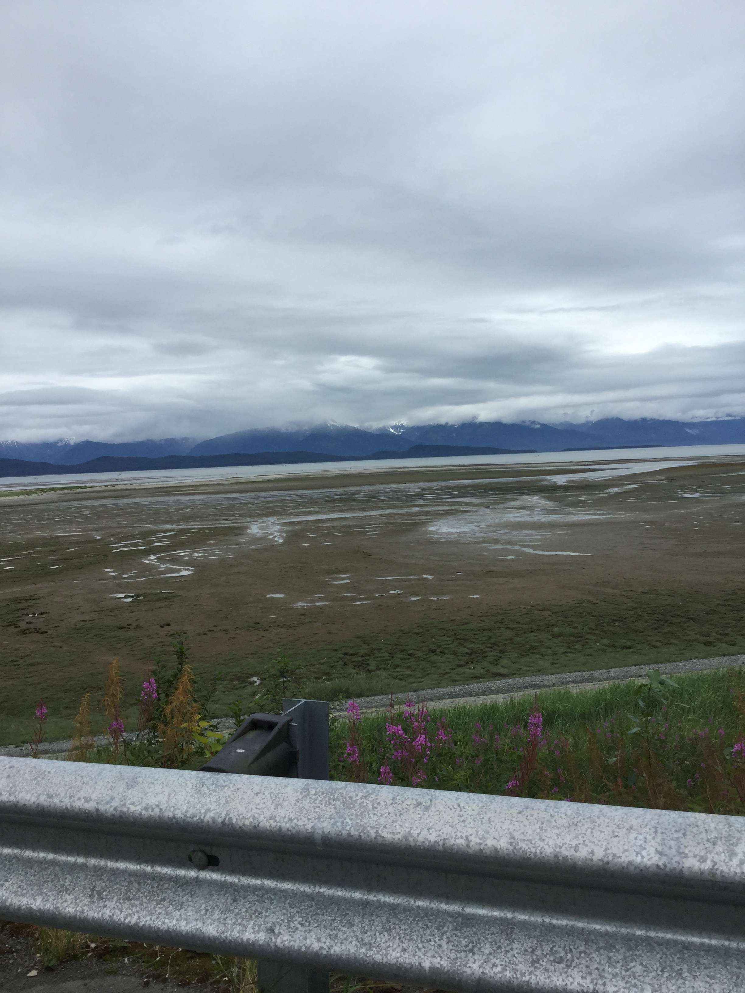 8 de julio: De Ketchican a Juneau - Alaska 2015 : no será nuestra última frontera (9)