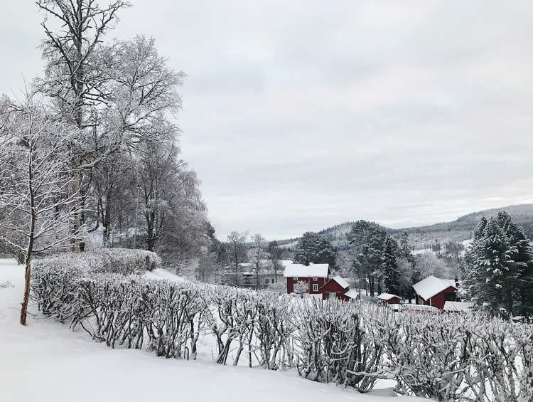 Шведская Лапландия (Dorotea & Borgafjäll) без авто, Рождество 2019