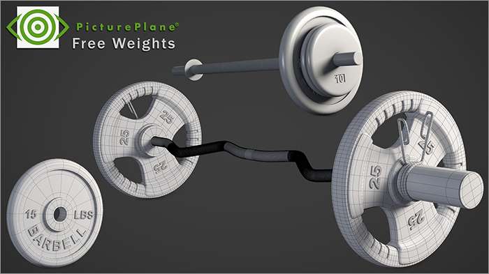 Free Weights Wireframe