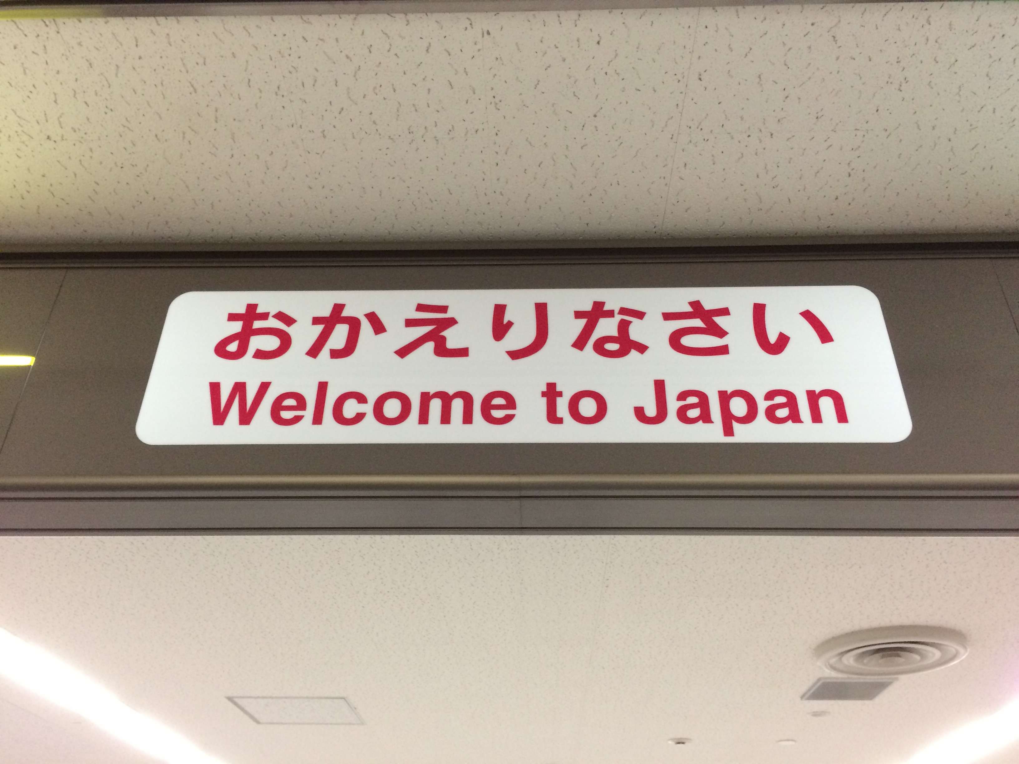 Japón en 20 días (EN CONSTRUCCION) - Blogs de Japon - Día 1: Tokio (llegada por la tarde) (1)