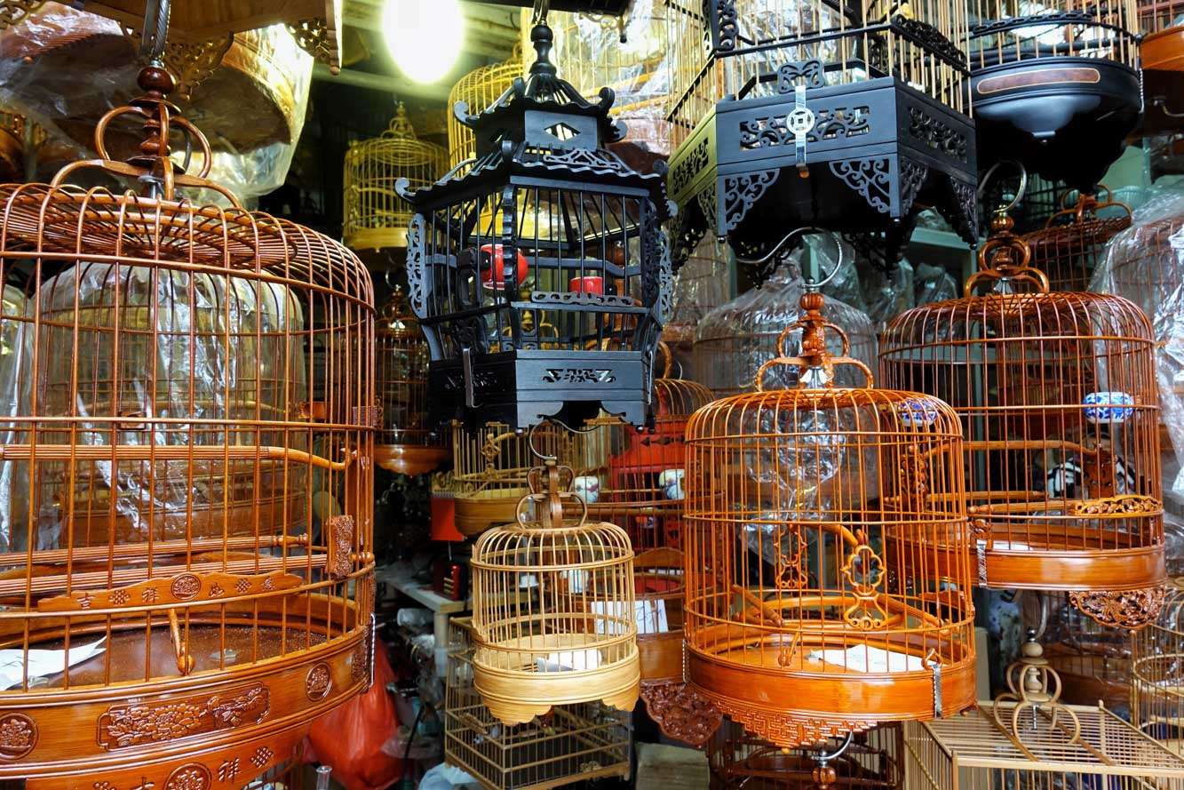 Bird Market, Hong Kong