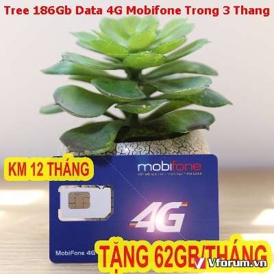 Phát Wifi 3G/4G Di Dộng Chính Hãng Và Sim Data 3G/4G Chất Lượng Giá Rẻ