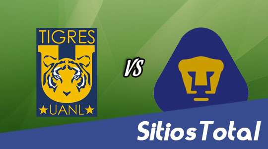 Ver Tigres vs Pumas en Vivo – Final Ida Apertura 2015 – Jueves 10 de Diciembre del 2015