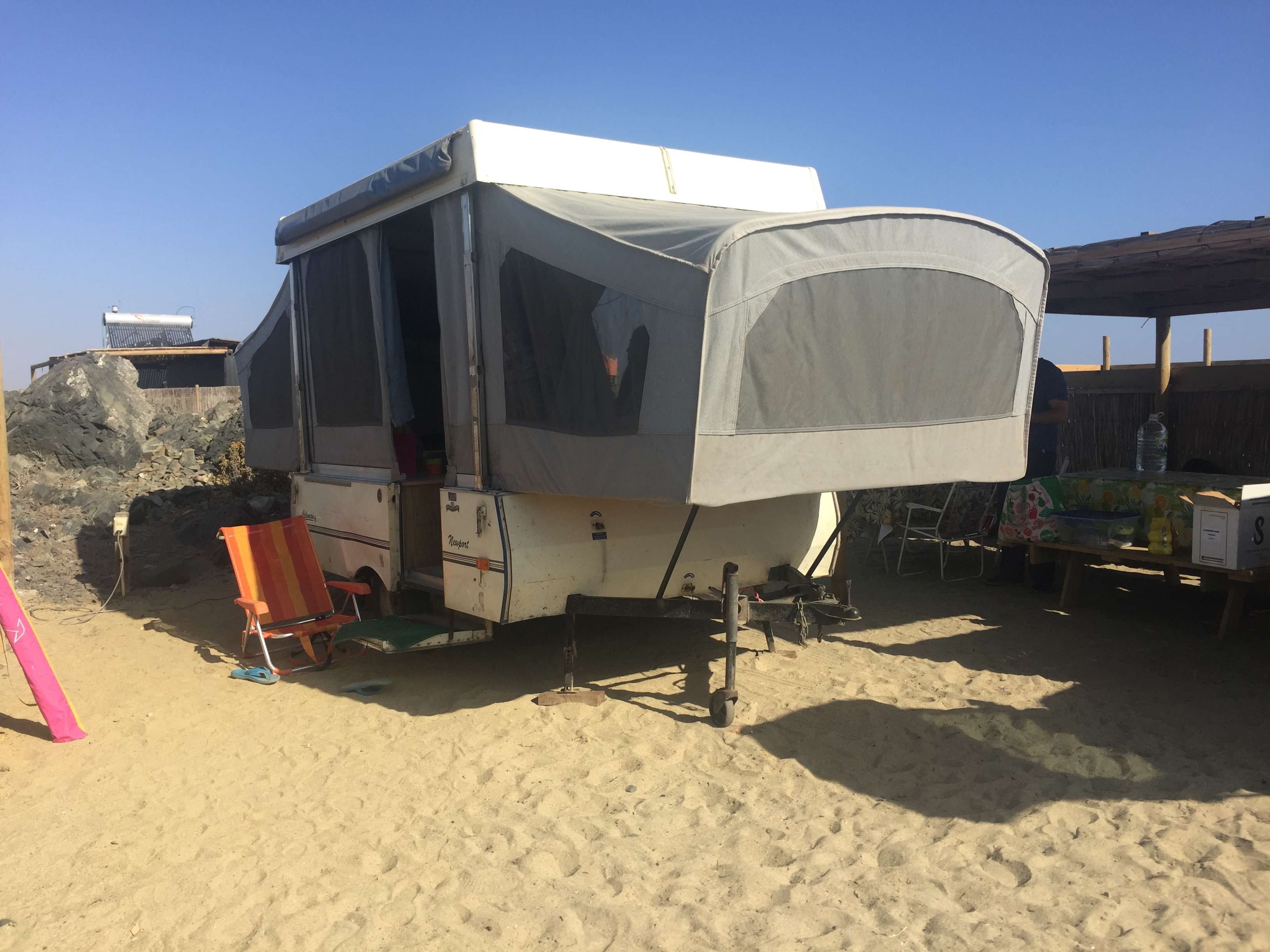 Camping por la Costa del Desierto de Atacama - Blogs de Chile - CHAÑARAL DE ACEITUNO (2)