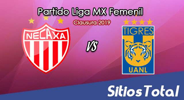 Ver Necaxa vs Tigres en Vivo – Liga MX Femenil – Clausura 2019 – Viernes 1 de Febrero del 2019