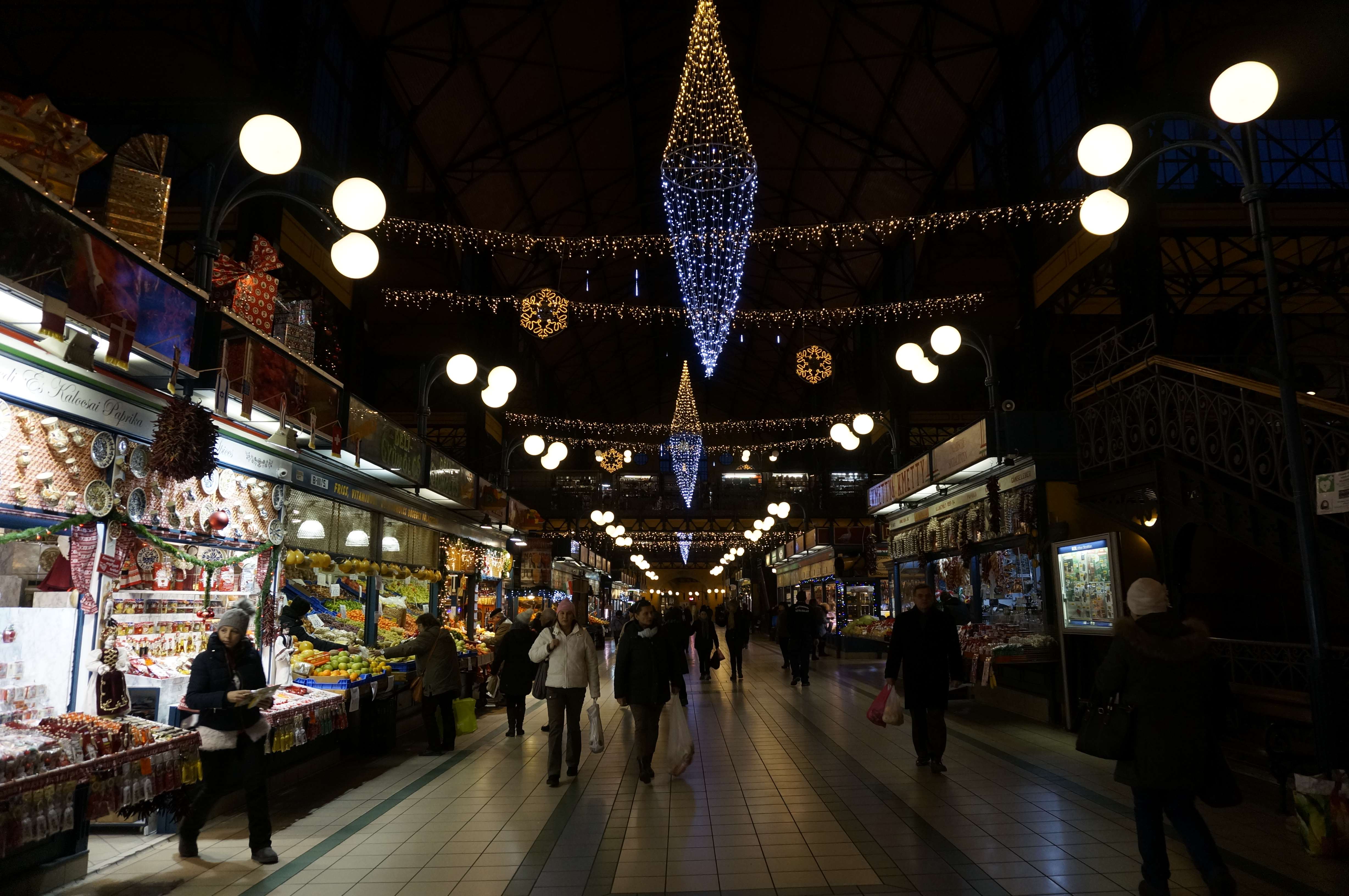 Día 5 - Budapest: Mercado y Baños Szechényi - Praga, Viena y Budapest en 1 semana: Diciembre de luces e historia (2)