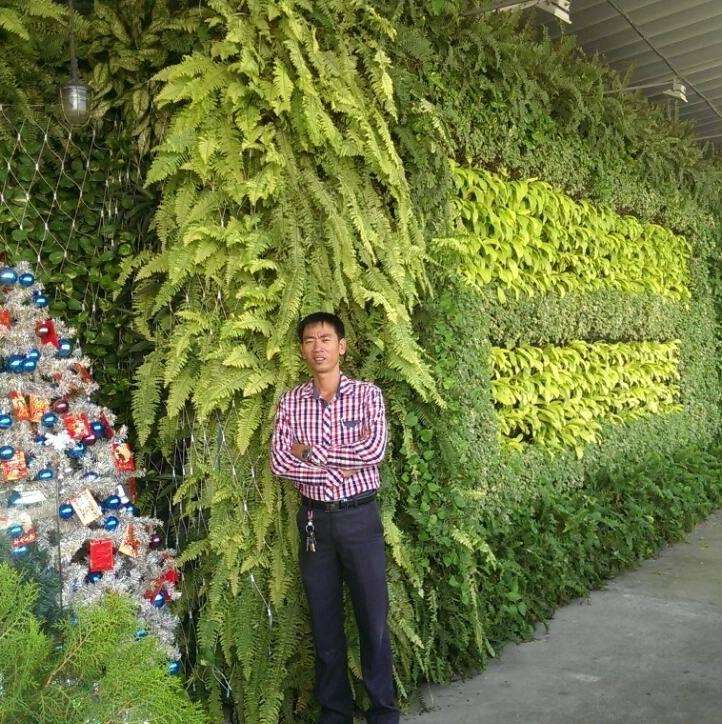 công trình vườn tường đứng của công ty Quang Anh HCM