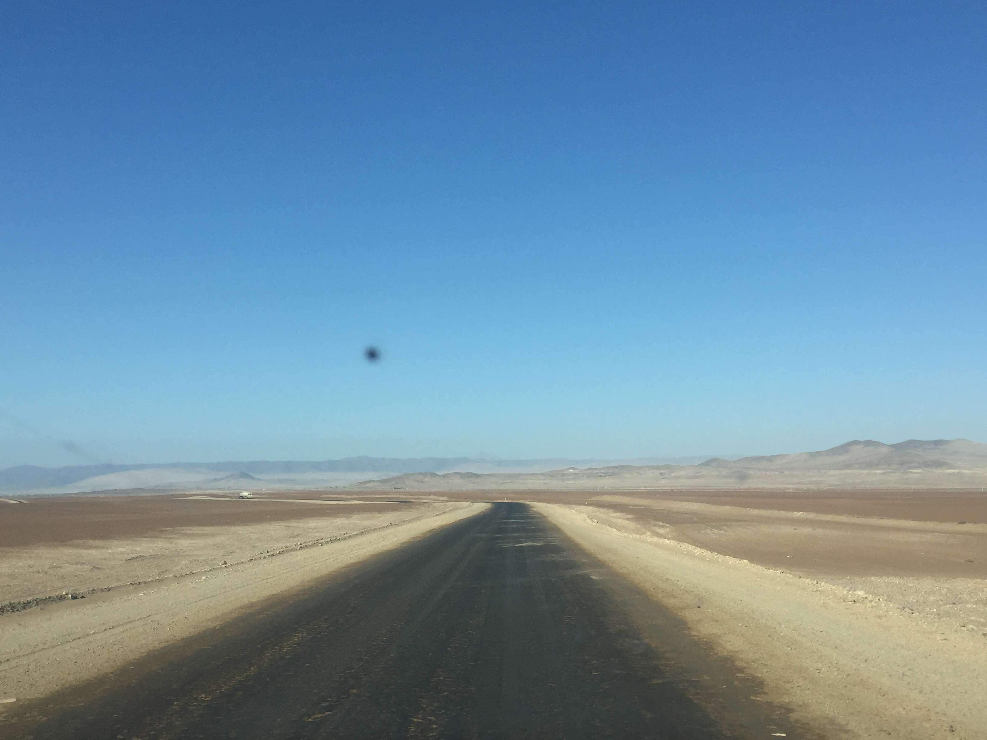 Camping por la Costa del Desierto de Atacama - Blogs de Chile - PAN DE AZUCAR (9)