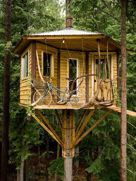 Backyard Treehouse (Sandpoint/ Idaho)