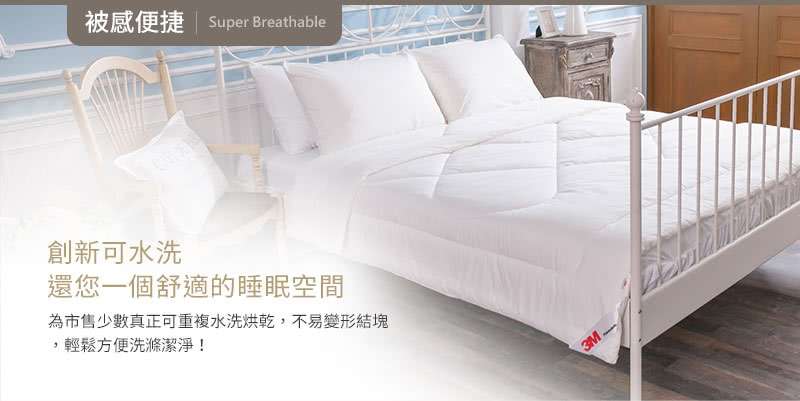 熱銷寢具 送涼感壽司枕X1 3M暖冬被NZ370 標準雙人 發熱纖維 枕頭 記憶枕 棉被 可水洗